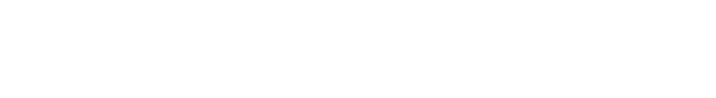 NAV-LAB